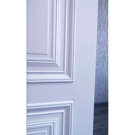 ПАРМА 2 ДГ / эмаль белая / глухая