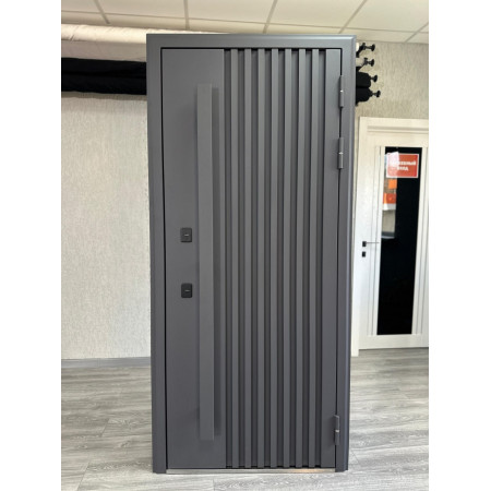СИНАЙ ТЕРМО / муар рал 7024 / аляска / Line Door
