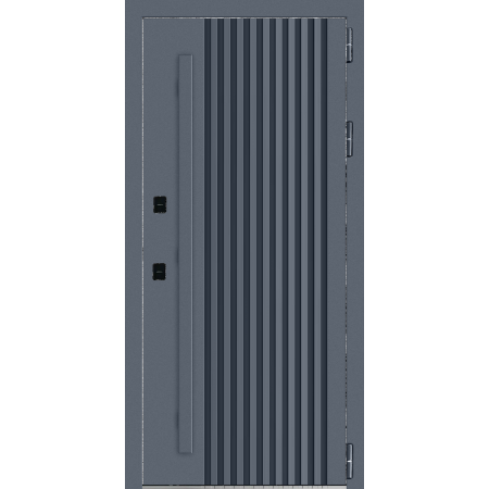 СИНАЙ ТЕРМО / муар рал 7024 / аляска / Line Door