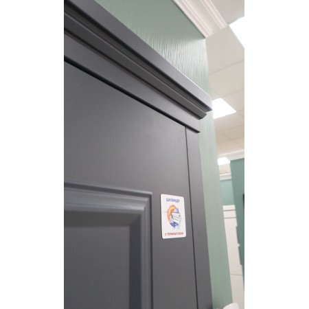 Классик ТЕРМО / муар рал 7024 / аляска / Line Door