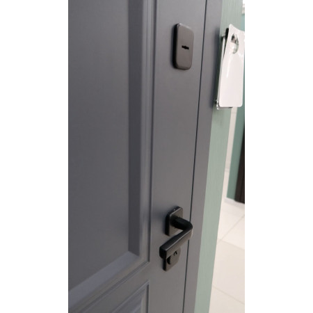 Классик ТЕРМО / муар рал 7024 / аляска / Line Door
