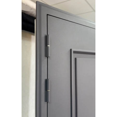 Непал ТЕРМО / муар рал 7024 / аляска / Line Door